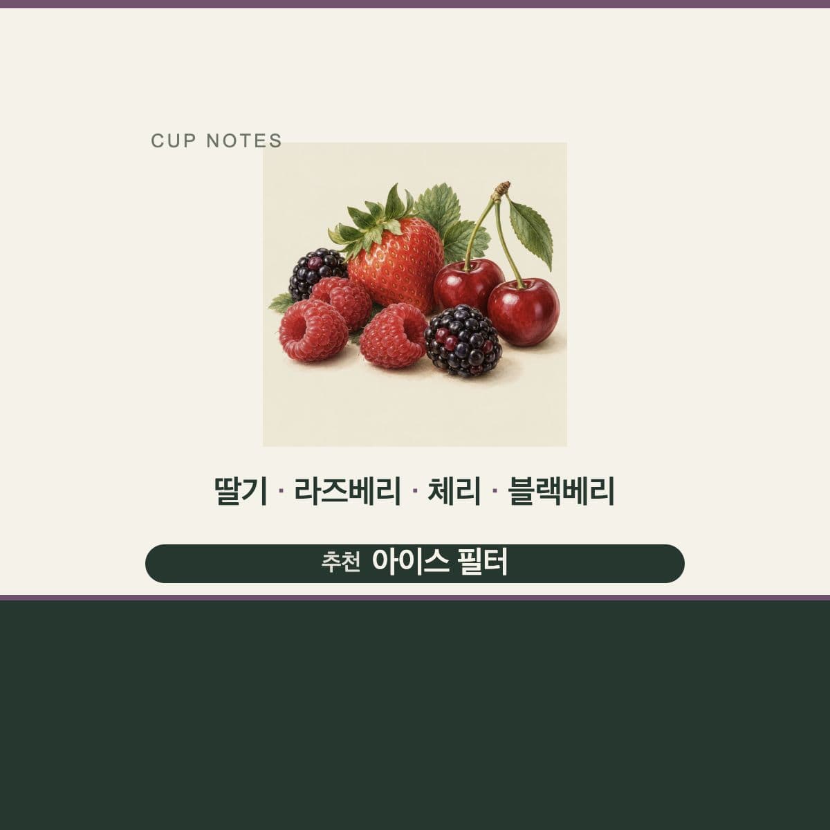 콜롬비아 Finca Rio Negro Papayo