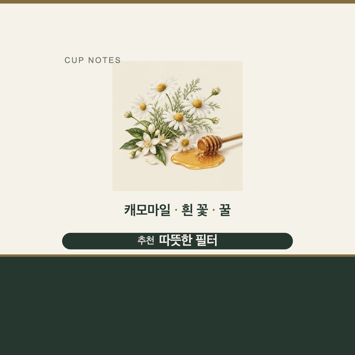 콜롬비아 Finca Rio Negro Caturra Sweet Chamomile