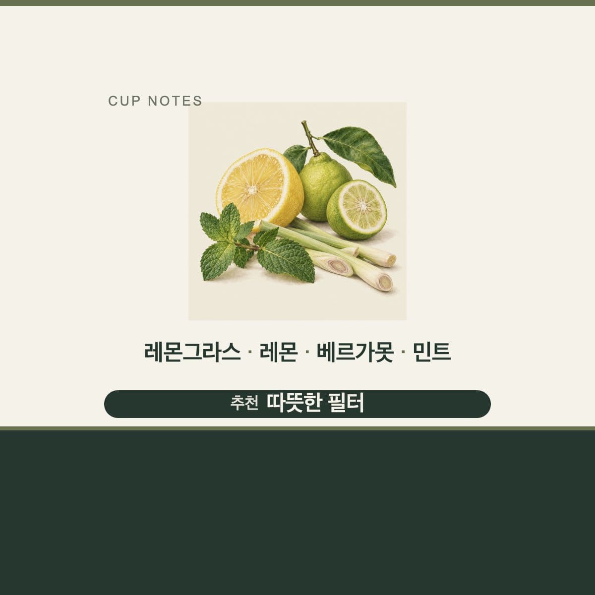 콜롬비아 Finca Rio Negro Geisha #1