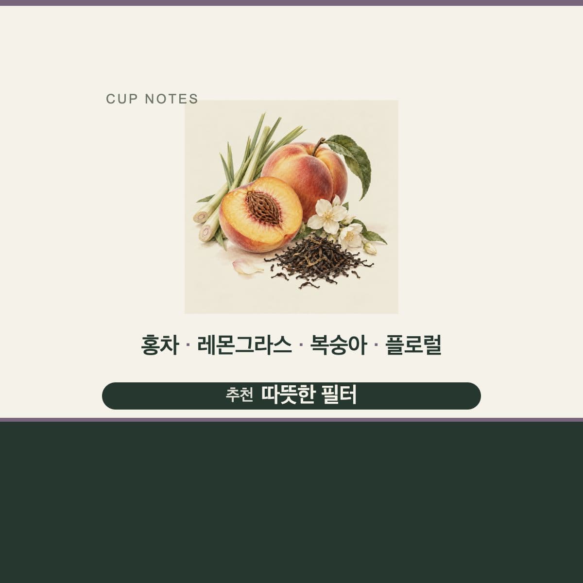 콜롬비아 Finca Rio Negro Geisha Hidden Bean
